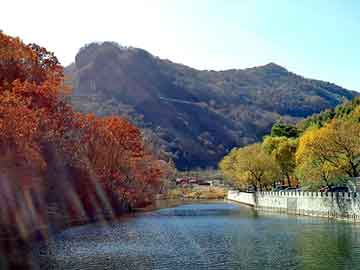 新澳天天开奖资料大全旅游团，重生嫡女不打折